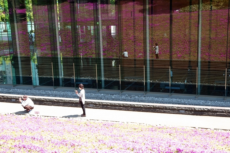 b0291402_05450886.jpg