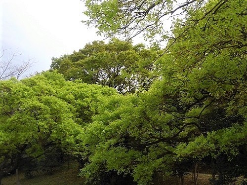 e0360409_16185443.jpg