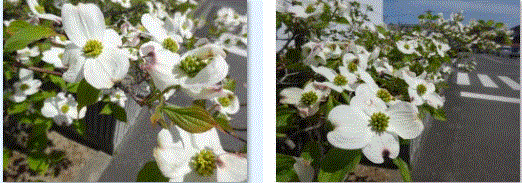 f0231709_12133656.gif