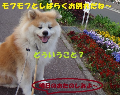 f0121712_00140061.jpg