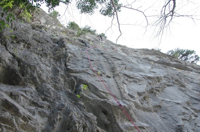 f0195813_23562121.jpg