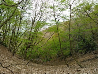 c0359615_17074594.jpg
