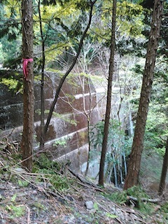 c0359615_17083381.jpg