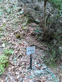 c0359615_17085174.jpg