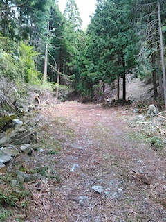 c0359615_17090515.jpg