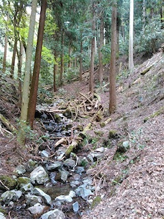 c0359615_17092622.jpg