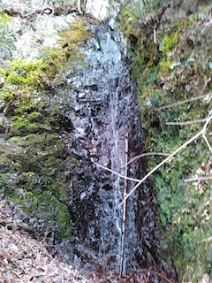 c0359615_17094750.jpg
