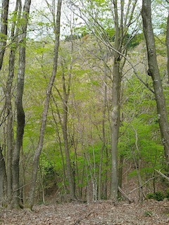 c0359615_17105768.jpg