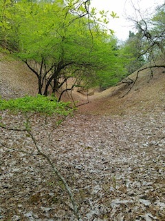 c0359615_17114270.jpg