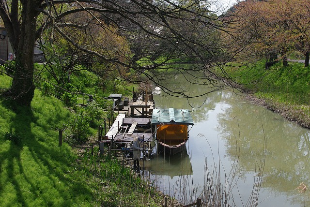 春の大聖寺カメラ散歩_c0163618_2127989.jpg