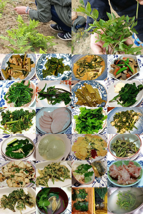 ≪Pearl＆Kick食事会～春の山菜祭り～≫_a0214919_20350371.jpg