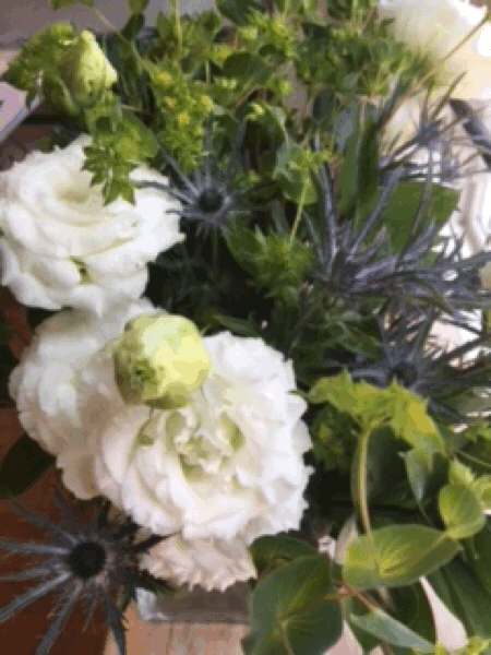 c0234319_15275487.gif