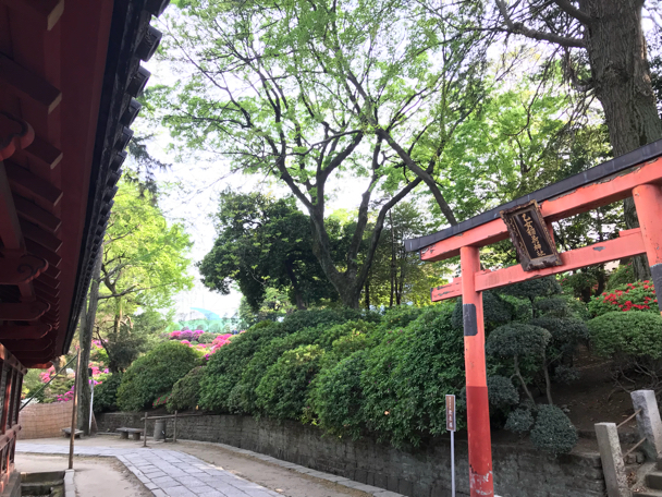 Nezu shrine 根津神社 文京区 東京都 平成30年4月12日 _c0156021_17522918.jpg