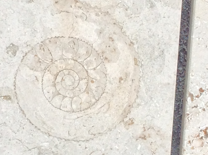 b0057924_14122937.jpg