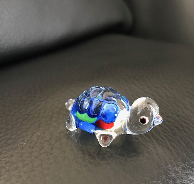 小樽で買ったガラス細工のカメ達(*^^*) : きりロードバイク日記