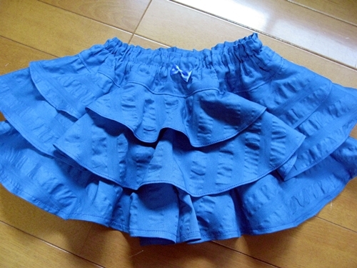 半袖 始めました その2_f0129726_10284154.jpg