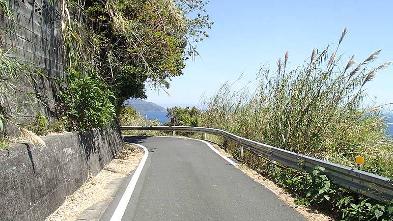 b0020828_12384639.jpg