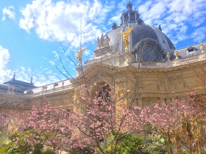パリの桜新名所　〜　フランス国立図書館、パリ植物園、プチパレetc_a0231632_03274269.jpg
