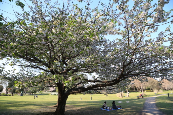 f0229832_10274907.jpg