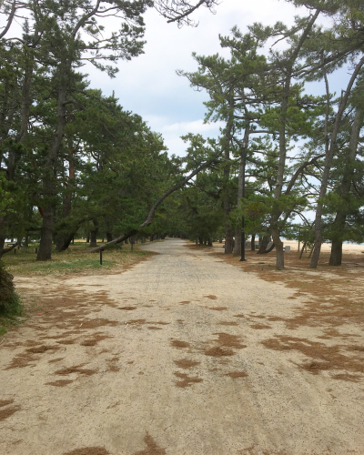 c0239833_18134070.jpg