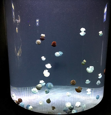 f0001835_00244064.png