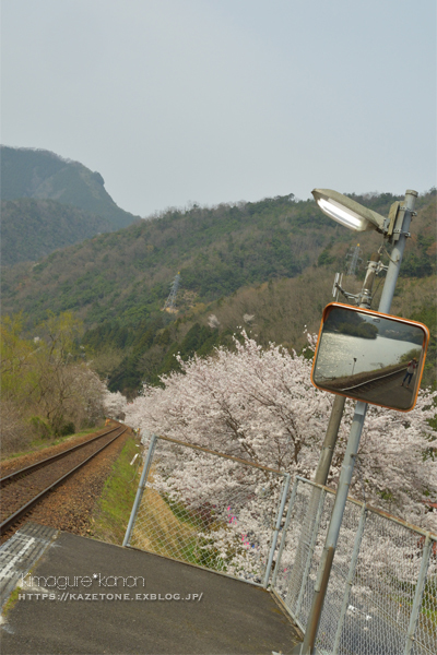 Sakura*memorys①**追憶の桜駅_b0197639_23105784.jpg