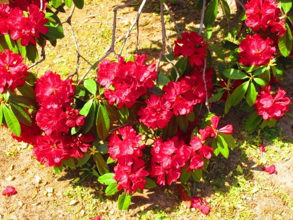 a0269341_07522690.jpg