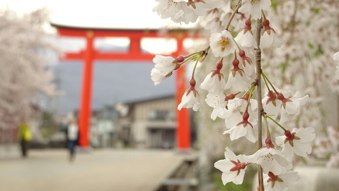 護国神社へ。_a0274944_13002891.jpg