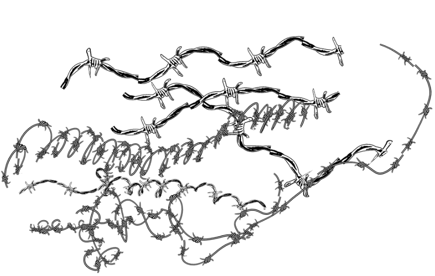 b0232447_11545848.png