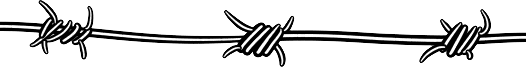 b0232447_11563623.png