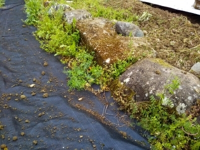 c0330749_06234372.jpg