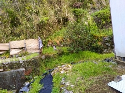 c0330749_06234407.jpg