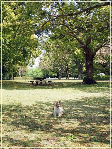 d0013149_23243449.jpg