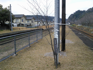 a0057057_17011872.png