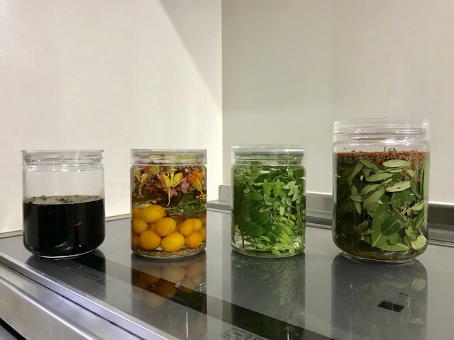 d0156557_21565536.jpeg