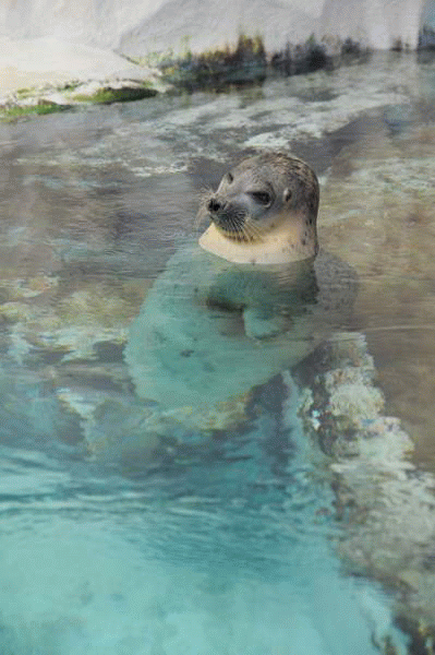 8tmnr0pcolmm 8tmnr0pcolmm