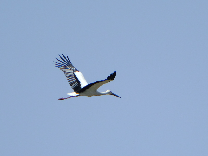 b0369164_05324375.jpg