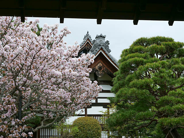 京都旅行その７（嵐山）_f0199866_05325104.jpg