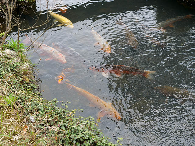 京都旅行その７（嵐山）_f0199866_05331044.jpg