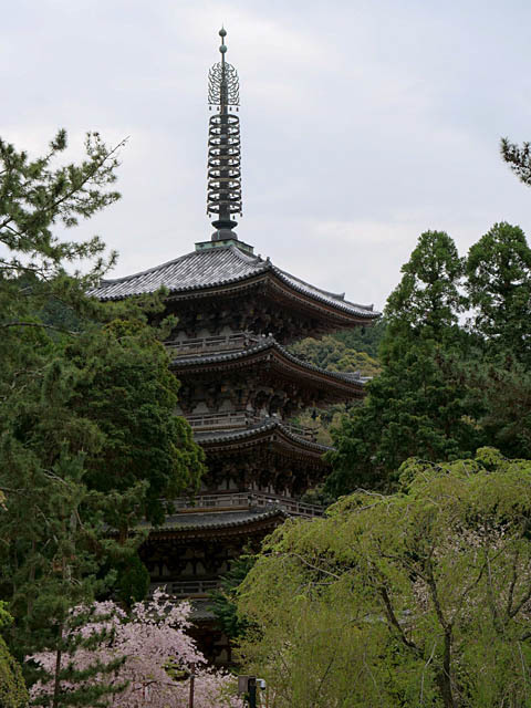 f0199866_17132365.jpg