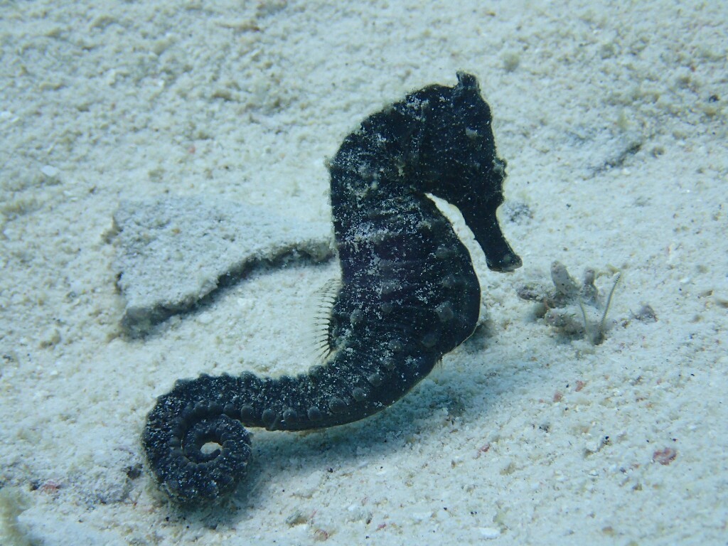 c0039073_21265916.jpg