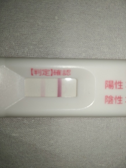 高温期14日目 ﾄﾞｩｰﾃｽﾄ Wondfo 二人目不育症日記