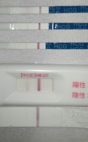 高温期14日目 ドゥーテスト Wondfo 二人目不育症日記 高温期14日目 ドゥーテスト Wondfo 二人目不育症日記