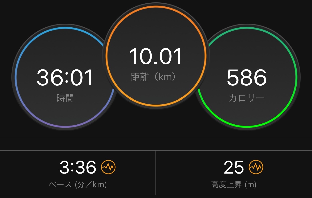 新シーズン始動!_f0310282_20304387.jpeg