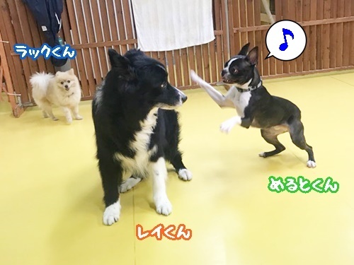 お友達になりました♪_f0357682_16113428.jpg