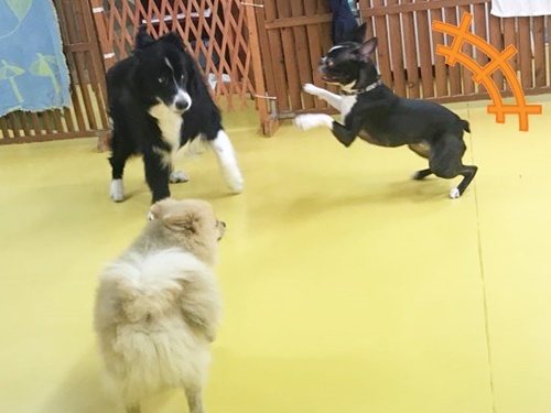 お友達になりました♪_f0357682_16135636.jpg
