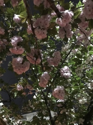 a0317586_13211090.jpeg