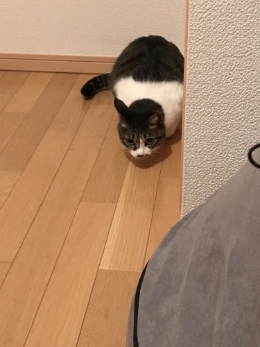 c0340786_10070855.jpeg