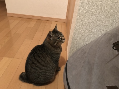 c0340786_10191190.jpeg