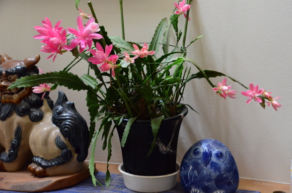 a0288500_09042051.jpg